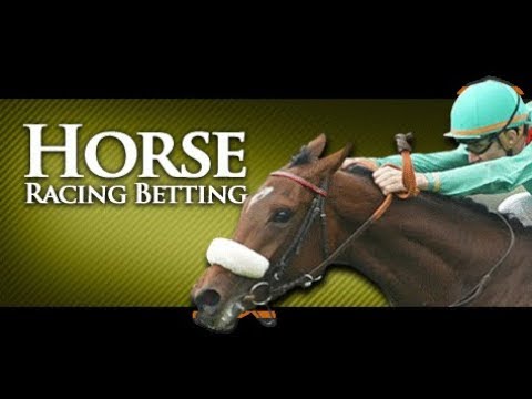 Top 10 Best Horse Racing Betting Sites for 2025: Where to Bet and Win Big
