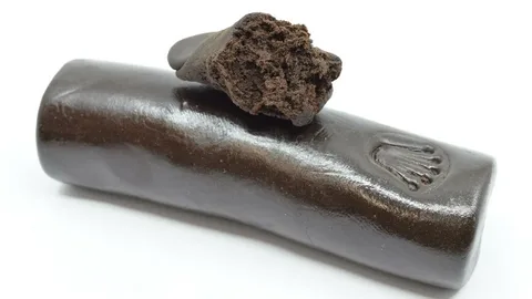 Indian Charas Hash: A Handcrafted Cannabis Tradition Loved in Canada